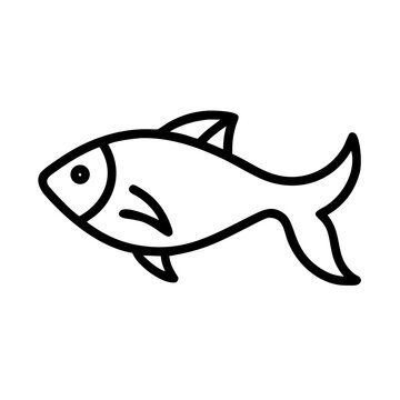 fish jewfish icon