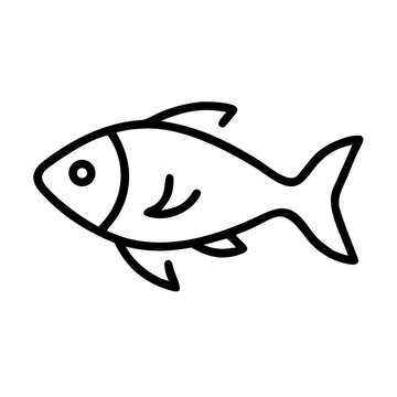 fish jewfish icon