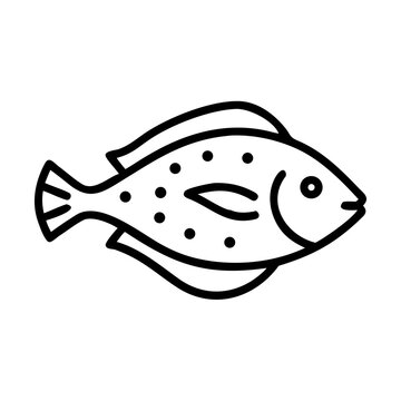 fish john dory icon