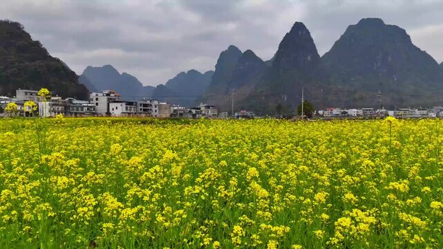 Spring in Karst Landscape: Yellow Flowers, Green Mountains, and a Village in Soft Light