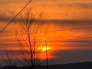 Fototapeta premium Rural Sunset Scene with Telephone Lines and Winter Tree Silhouette