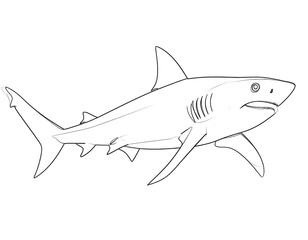 Fototapeta premium A simple line drawing of a shark with a solid white background