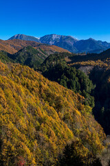 秋の御嶽山　岐阜県 下呂市 小坂町 御嶽パノラマラインから
