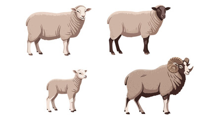 Obraz premium Collection of various sheep breeds including a lamb and a ram with impressive horns