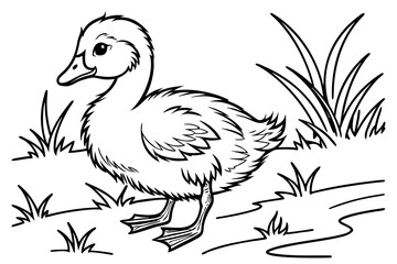 Fototapeta premium Single cute little duck coloring book page, one large centered object only, black and white vector line art, bold clean outlines, no shading, no grayscale, no background, white background only, printa