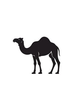 A black silhouette of a camel standing on a white background