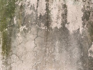 Fototapeta premium Grunge Texture of Old Weathered Concrete Wall with Moss and Scratches