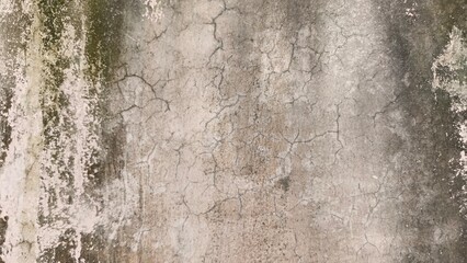 Obraz premium Grunge Texture of Old Weathered Concrete Wall with Moss and Scratches