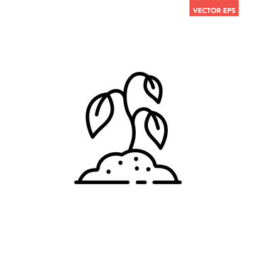 Black single withered plant line icon. Simple dead flora plant growth profit flat design vector pictogram, infographic interface elements for app logo web button ui ux isolated on white background