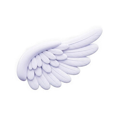 Fototapeta premium A white wing with feathers on a white background