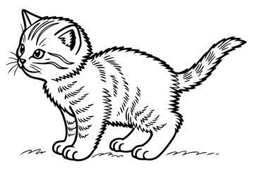 Obraz premium Single cute smiling kitten coloring book page, one large centered object only, black and white vector line art, bold clean outlines, no shading, no grayscale, no background, white background only, pri