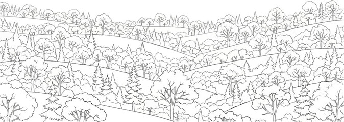 Fototapeta premium A detailed line drawing depicts rolling hills covered in trees, both deciduous and coniferous