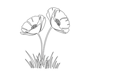 Graceful line drawing of three poppy flowers standing in a field