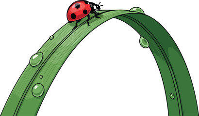 Ladybug on Grass Isolated on Transparent Background Flat 2D Vector © oy