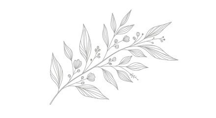 Simple Line Drawing of a Branch with Leaves and Berries.