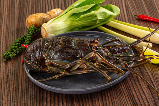 Raw fresh lobster for bowl
