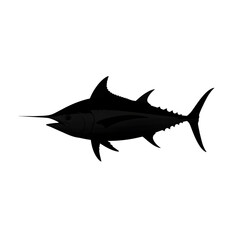 Obraz premium shark isolated on white background