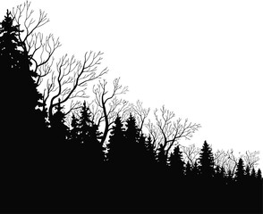 Black Pine Forest Silhouette Landscape