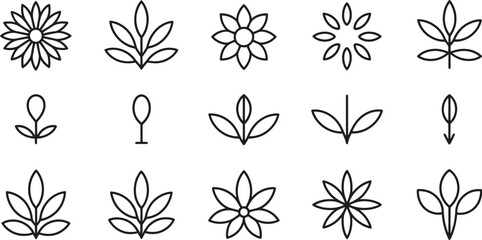 Minimalist Linear Botanical Icon Set