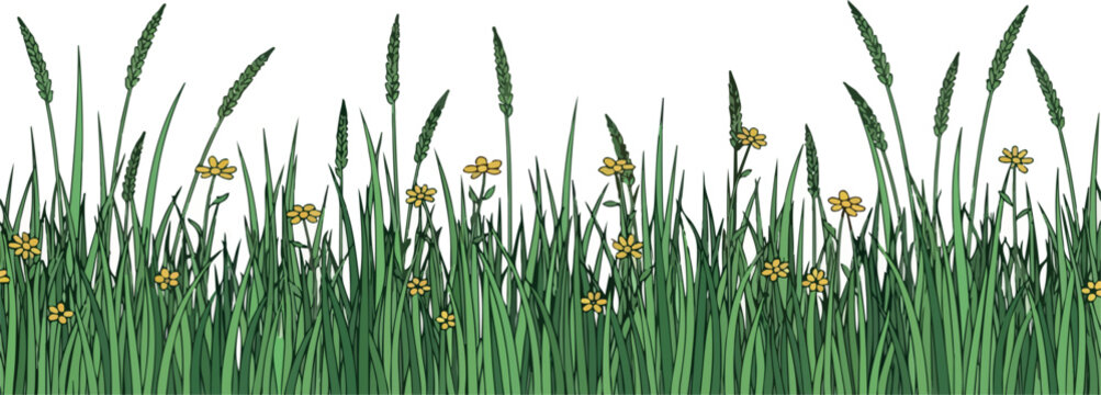 Wild Grass and Flowers Isolated on Transparent Background Flat 2D Vector