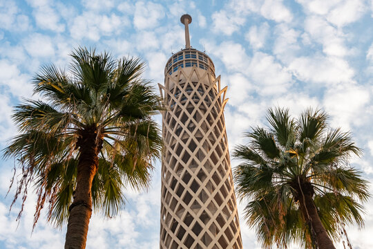 People look up at a tall tower surrounded by palm trees under a cloudy sky in a city during daytime