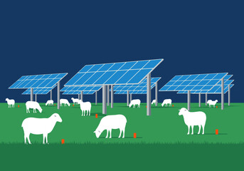 Sheep graze beneath solar panels on a grassy land. A unique combination of renewable energy and agriculture. Modern, serene, and visually striking. © Vector Factory