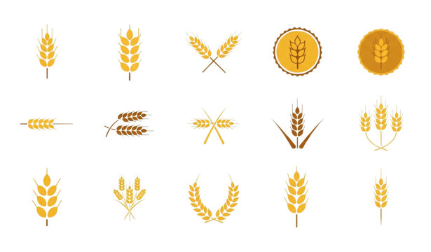 Wheat ears and grain spike icon collection in flat design isolated on transparent background