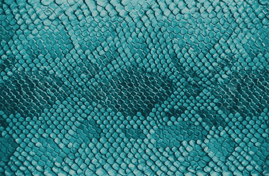 Exotic Teal Snake Skin Texture - Abstract Reptile Scale Pattern