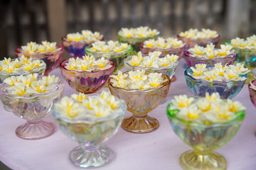 般若寺のスイセン