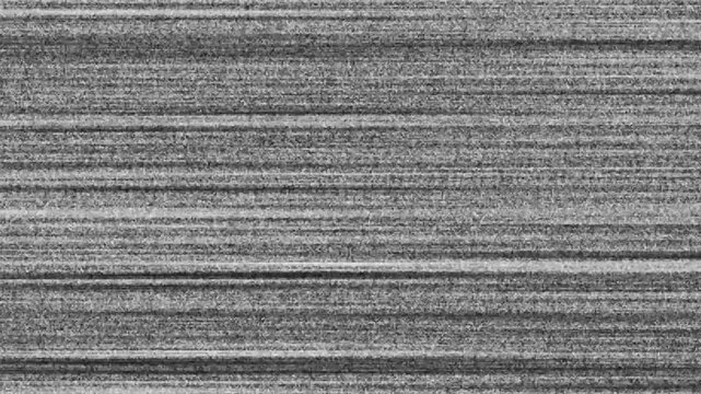 A strikingly detailed black and white abstract image showcases numerous horizontal lines creating a textured rhythmic and visually captivating pattern high quality