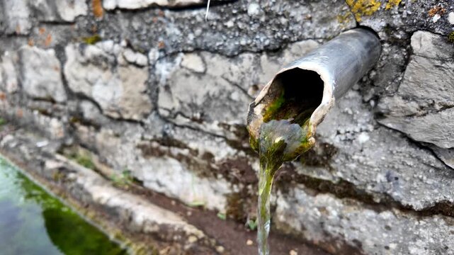 A stream of fresh water flows from a rustic metal pipe against a textured stone wall, showing natural algae and a mossy background.