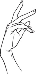 Slim fingers with soft curves, elegant line art style. in silhouette of white background.