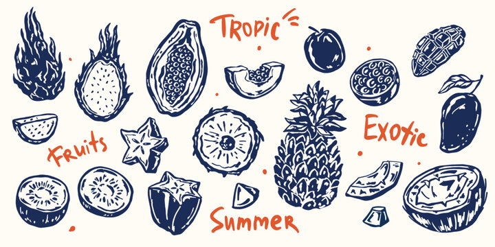 Hand-drawn whimsical vector doodle set of tropical fruits: dragon fruit, carambola, papaya, passion fruit, mango, coconut, pineapple, kiwi. Fun, playful illustrations for summer prints