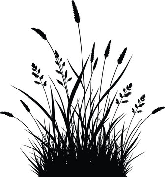 Detailed black silhouette graphic illustrating a dense cluster of assorted wild grasses and flowering meadow plants isolated against a clean white background for design use.