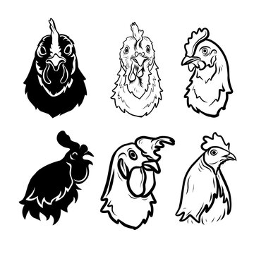 set of chicken silhouettes