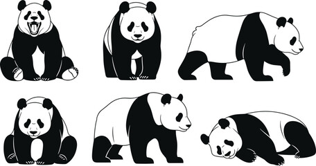 Giant Panda Bear Collection Vector Illustration Set with Different Poses Isolated on White Background for Wildlife and Animal Design