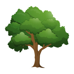 Tree Illustration