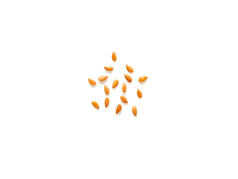 Golden roasted flaxseeds isolated on white background