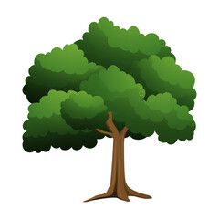 Tree Illustration