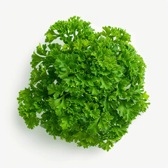 Obraz premium Fresh parsley leaves isolated on white background