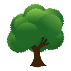 Tree Illustration