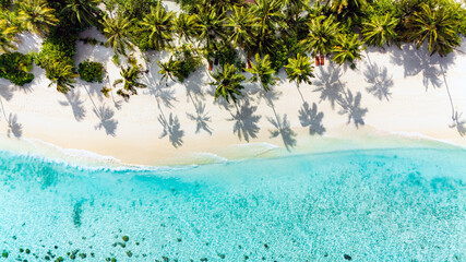 Vue aérienne panoramique d' une plage tropicale paradisiaque avec les ombres des cocotiers qui  se...