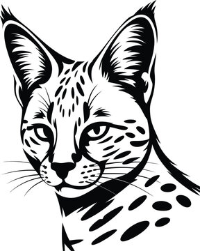 Serval cat head portrait stylized black and white vector graphic illustration