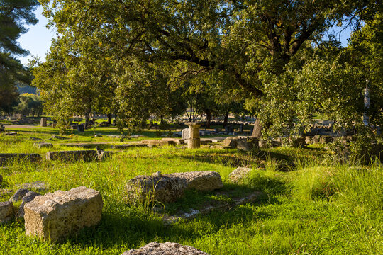 Scattered stone remains of ancient structures rest beneath mature oak trees in Olympia, Greece. Warm sunlight filters through dense foliage, highlighting textured masonry and vibrant green grass in