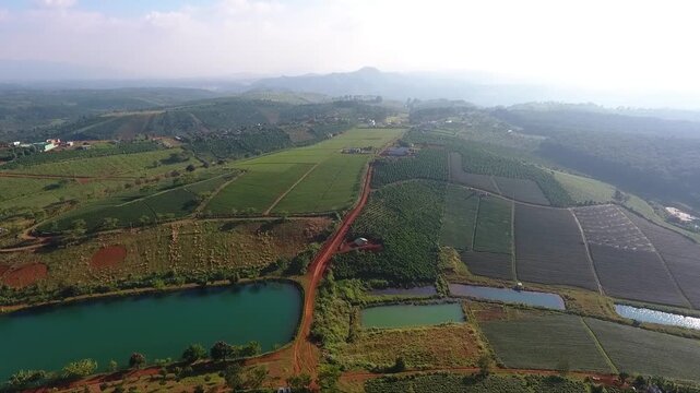 Drone Aerial of Tea Fields with Red Dirt Road and Irrigation Ponds in Bao Loc Vietnam