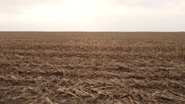 Drone footage of harvested field with stubble under a cloudy sky