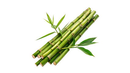 Bamboo sticks arranged with green leaves isolated on transparent background cut out