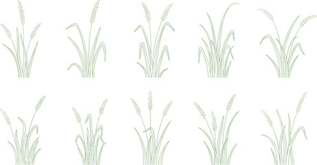 Obraz premium Rice Plant Vector Collection Featuring Stylized Green Line Art Illustrations of Leaves and Panicles for Agriculture