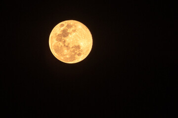 Fototapeta premium Beautiful bright orange color moon on full moon day