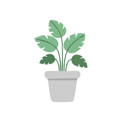 Obraz premium Indoor Decorative Plant Vector